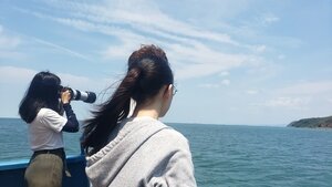 HKDCS Dolphin Research Trip